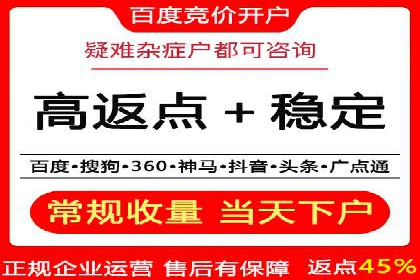 成功案例：sem竞价托管的智慧与策略